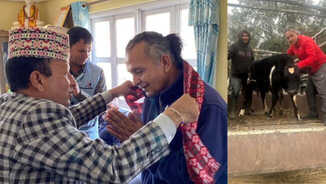 फेदी जङ्गलमा गाई–बाच्छा छोड्नेमाथि निगरानी र कारबाही गर्छौं : नगरप्रमुख नापित
